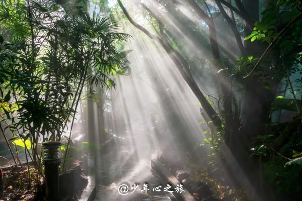 黔南几年没有搞医师定考了游戏画面